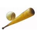 Baseball ball Bats