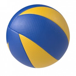 Volley Ball