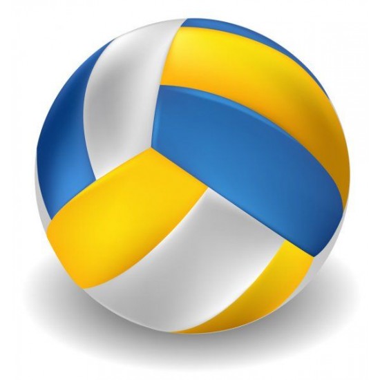 Volley Ball