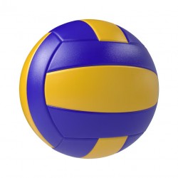 Volley Ball